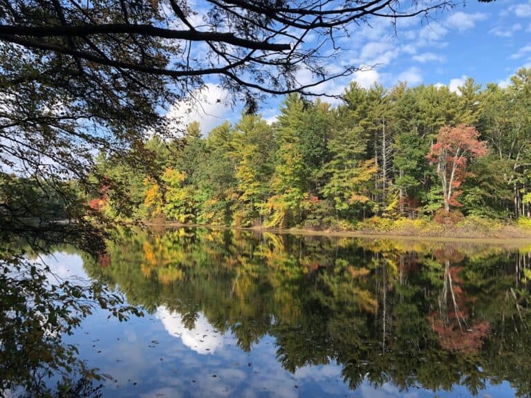 Hopkinton State Park, Massachusetts Guide to Boating and Best Hikes