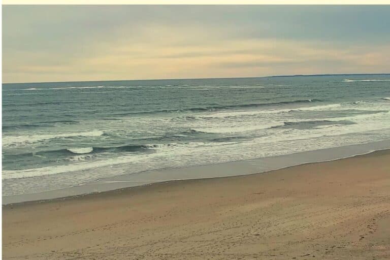 The Park offers clean water and ample beach area.